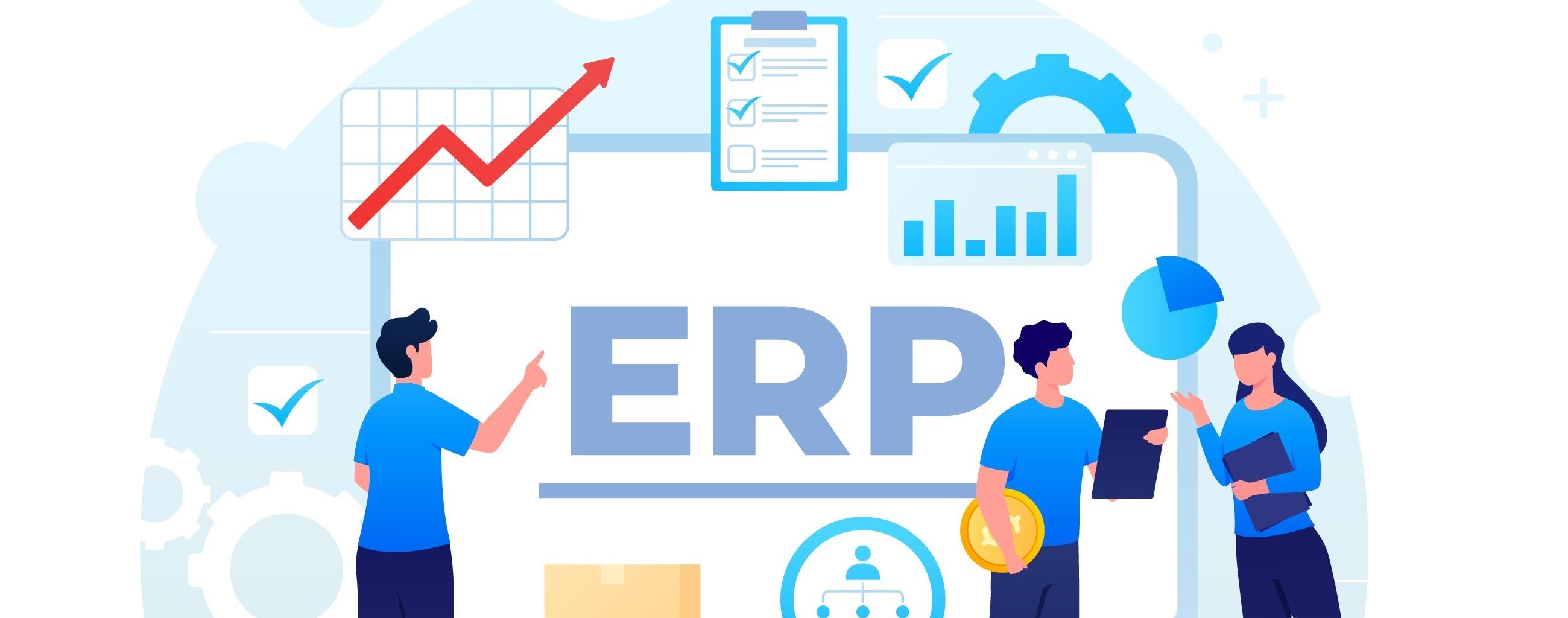 ERP System